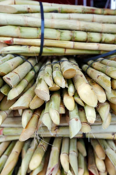 Şeker kamışı yığını meyve suyu yapmak için, Portekizce garapa, açık hava pazar standında. Brezilya