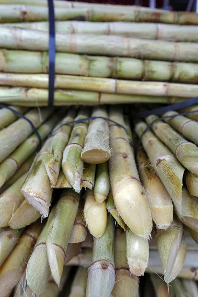 Şeker kamışı yığını meyve suyu yapmak için, Portekizce garapa, açık hava pazar standında. Brezilya