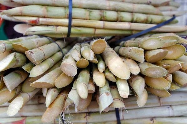 Şeker kamışı yığını meyve suyu yapmak için, Portekizce garapa, açık hava pazar standında. Brezilya