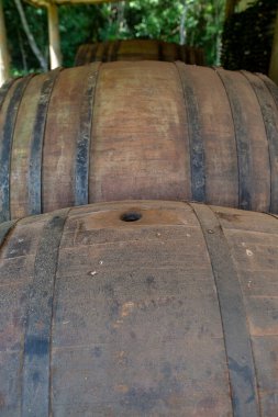 Üzüm bağı deposunda eski şarap fıçıları. Sao Roque, Sao Paulo Eyaleti, Brezilya.
