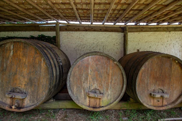 Vieux Tonneaux Vin Dans Stockage Vignoble Sao Roque État Sao — Photo