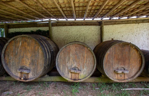 旧酒桶存放在葡萄园里 巴西圣保罗州圣多罗克 — 图库照片
