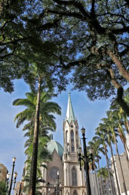 Se Cathedral, görünüm Imperial palms adlı açık ve mavi gökyüzü ile. Sao Paulo. Brezilya