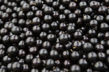 Jaboticaba ya da jabuticaba, Brezilya 'nın yerli üzümlerinden biridir. Plinia cauliflora türü, egzotik meyve, iltihap önleyici. Seçici odak