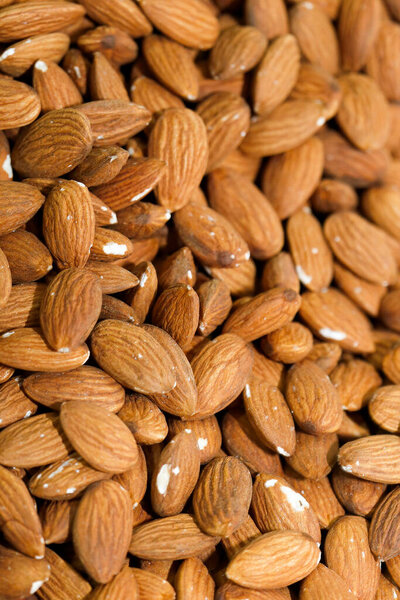 Almond in bulk to sale at municipal market of Sao Paulo city, Brazil