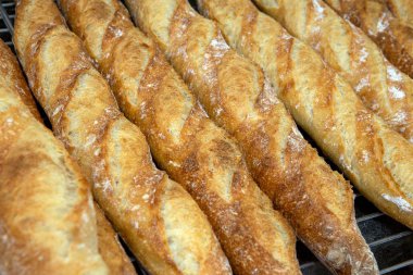 Fırından çıkan çıtır baget yığını. Sao Paulo, Brezilya