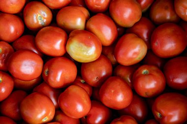 Toptan satıştaki domates demetinin yakın çekimi. Sao Paulo şehri, Brezilya