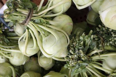 Sarımsak veya Alman şalgam Sao Paulo, Brezilya şehirde bakkal rafta maruz