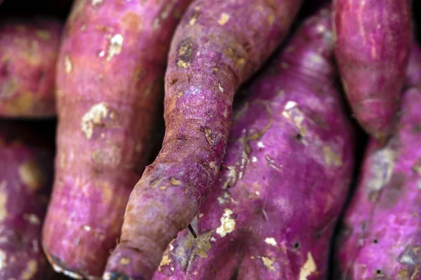 Sweet potato, Ipomoea batatas, tuber originating in South America. Municipal market of  Sao Paulo city, Brazil. Selective focus
