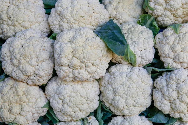 Ein Haufen Blumenkohl Auf Dem Wochenmarkt Stadtmarkt Von Sao Paulo — Stockfoto