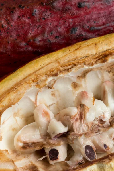 Zbliżenie Pulpy Kakaowej Theobroma Cacao Całymi Owocami Tle Czekoladowy Surowiec — Zdjęcie stockowe