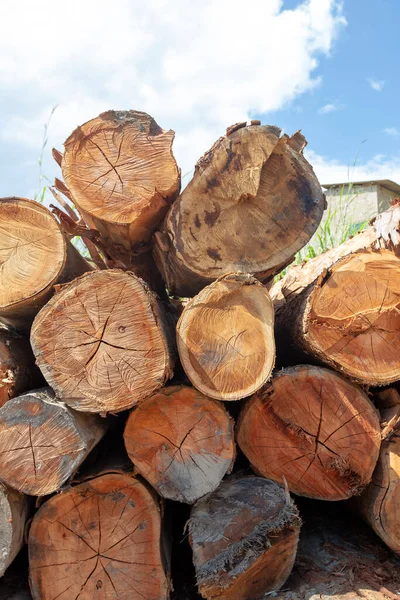 堆放成堆的砍伐的树木 在锯木厂里 供木料生产作土建工程之用 巴西I — 图库照片