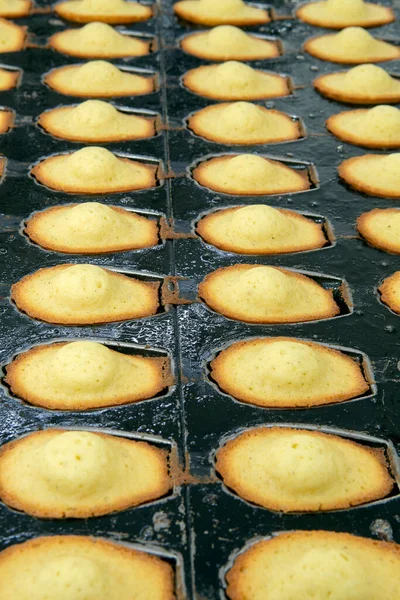 Panettiere Prepara Madeleines Cuocere Forno Stato San Paolo Brasile — Foto Stock