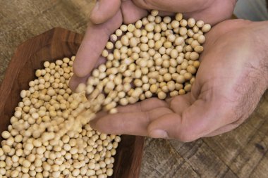 Kırsal ahşap arka planda elle kavrulmuş soya fasulyesi.