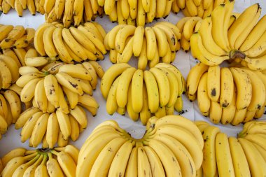 Banana bunches in open air market stall. Brazil clipart