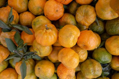 Açık hava pazarında bir sürü mandalina turuncusu. Brezilya