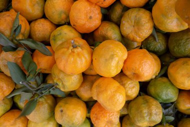 Açık hava pazarında bir sürü mandalina turuncusu. Brezilya