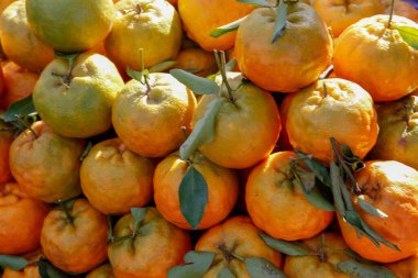 Mandalina yığını açık hava pazarında ortaya çıktı. Brezilya