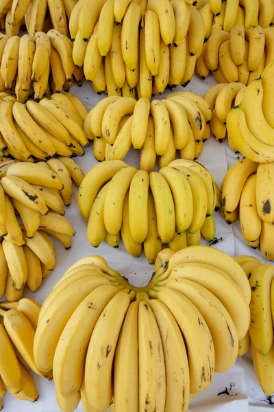 Manojos Plátano Puestos Mercado Aire Libre Brasil — Foto de Stock