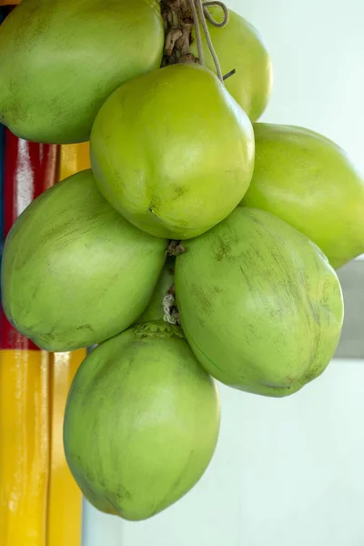 Zielone Orzechy Kokosowe Budzie Sokiem Owocowym Salvador Bahia Brazylia — Zdjęcie stockowe