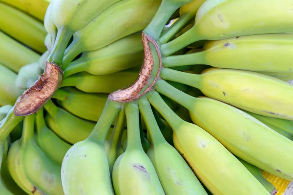 Csokrok Zöld Banán Kültéri Piaci Standon Jelenik Meg Brazília — Stock Fotó