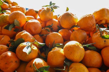 Mandalina yığını arka planda, market tezgahında. Brezilya