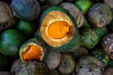 Suarili fındık grubuna yakın, ya da Portekizce Pequi, pazarda. Sao Paulo şehri, Brezilya.