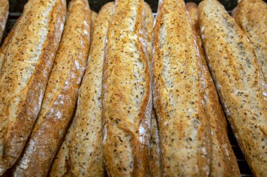 Fırından çıkan çıtır baget yığını. Sao Paulo, Brezilya