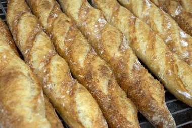 Fırından çıkan çıtır baget yığını. Sao Paulo, Brezilya