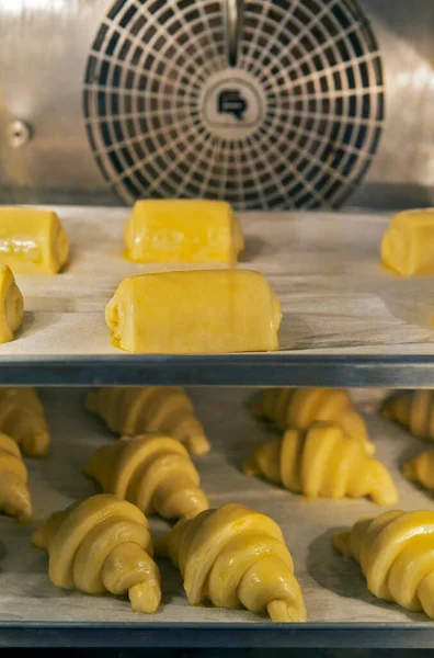 Raw Croissant Fermentation Waiting Enter Bakery Oven — Stock Photo, Image