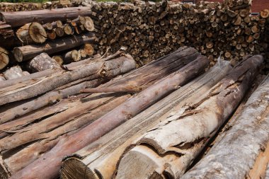 Ahşap bir eski buharlı lokomotif durumdaki Sao Paulo, Brezilya için yakacak odun tedarik yığını