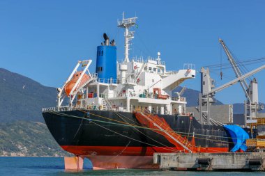 Kargo gemisinin detayları Brezilya kıyılarına demir attı. Cankurtaran botuyla