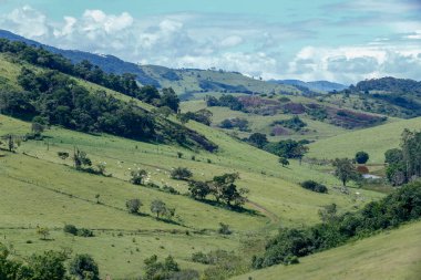Mera sığır tepelerin eteklerinde ile geniş bir bakış. Minas Gerais eyalet, Brezilya