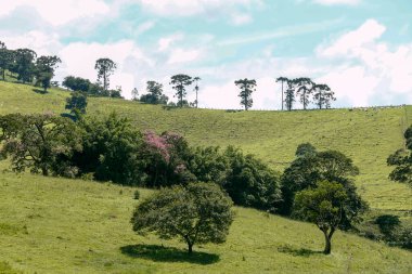 Serra da Mantiqueira Minas Gerais, Brezilya devlet yeşil tepelerin geniş görüş