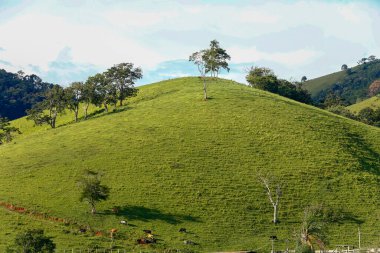 Serra da Mantiqueira Minas Gerais, Brezilya devlet yeşil tepelerin geniş görüş