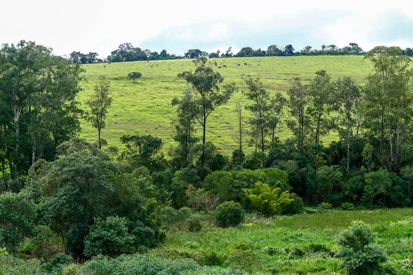 Bred Utsikt Över Gröna Kullarna Serra Mantiqueira Delstaten Minas Gerais — Stockfoto