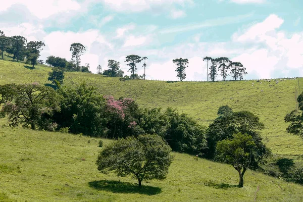 Bred Utsikt Över Gröna Kullarna Serra Mantiqueira Delstaten Minas Gerais — Stockfoto