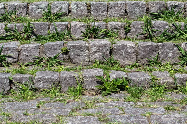 Closeup Stone Stairway Grass Rising Spans Demonstration Vital Force — Stock Photo, Image