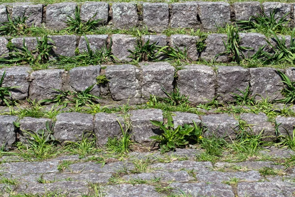 Close Van Stenen Trap Met Gras Stijgt Overspanningen Een Demonstratie — Stockfoto