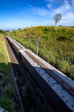 Yükleme treni, yukarıdan görünen sayısız vagonlu, perspektiften. Brezilya 'nın kırsalında