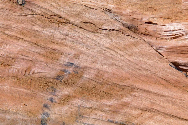 Крупный План Обработки Деревянного Листа — стоковое фото
