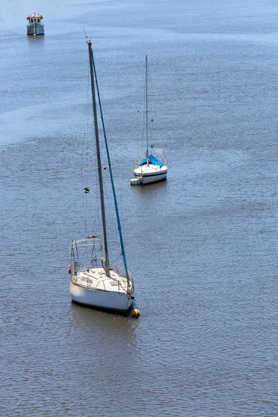 Segelboote Ankern Ruhigen Blauen Gewässern Der Flussmündung Guaruja Brasilien — Stockfoto