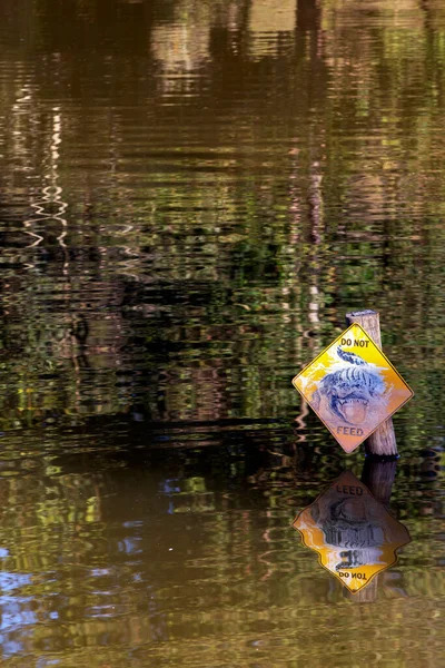 Segnale Avvertimento Non Alimentare Gli Alligatori Evidenziato Mezzo Lago Acqua — Foto Stock
