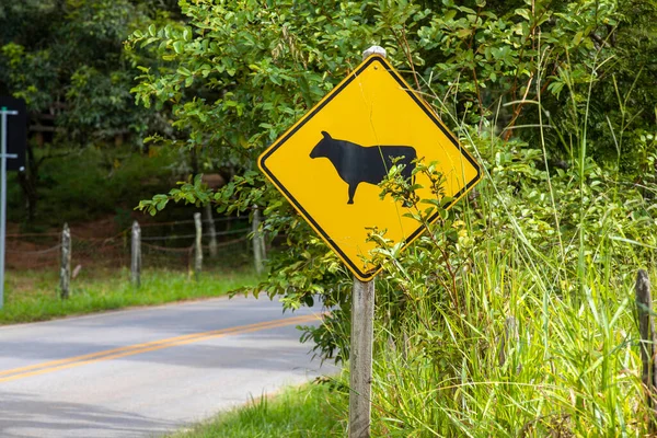 Cattle crossing road warning sign, with foliage around. On countryside of Brazil