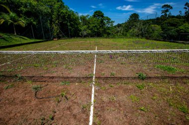 Eski terk edilmiş tenis kortu ve ağları hala takılı. Brezilya kırsal kesimi