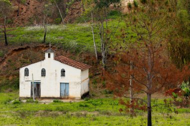 Küçük beyaz çiftlik Şapel çam ağaçları ve Sao Paulo devlet, yeşil çim Brezilya çevrili