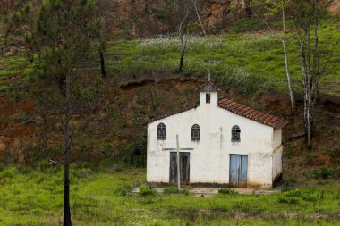 Küçük beyaz çiftlik Şapel çam ağaçları ve Sao Paulo devlet, yeşil çim Brezilya çevrili