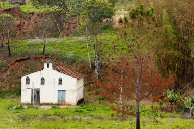 Küçük beyaz çiftlik Şapel çam ağaçları ve Sao Paulo devlet, yeşil çim Brezilya çevrili