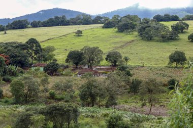 Kırsal manzara otlar, ağaçlar ve tepenin üzerinde küçük ev. Minas Gerais, Brezilya