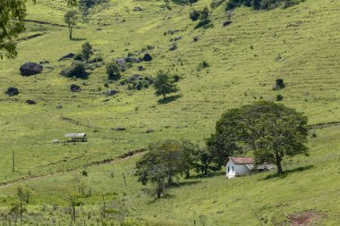 Kırsal manzara otlar, ağaçlar ve tepenin üzerinde küçük ev. Minas Gerais, Brezilya